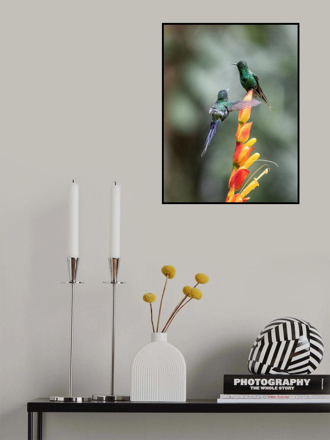 Is it OK to share the flower? Poster och Canvastavla