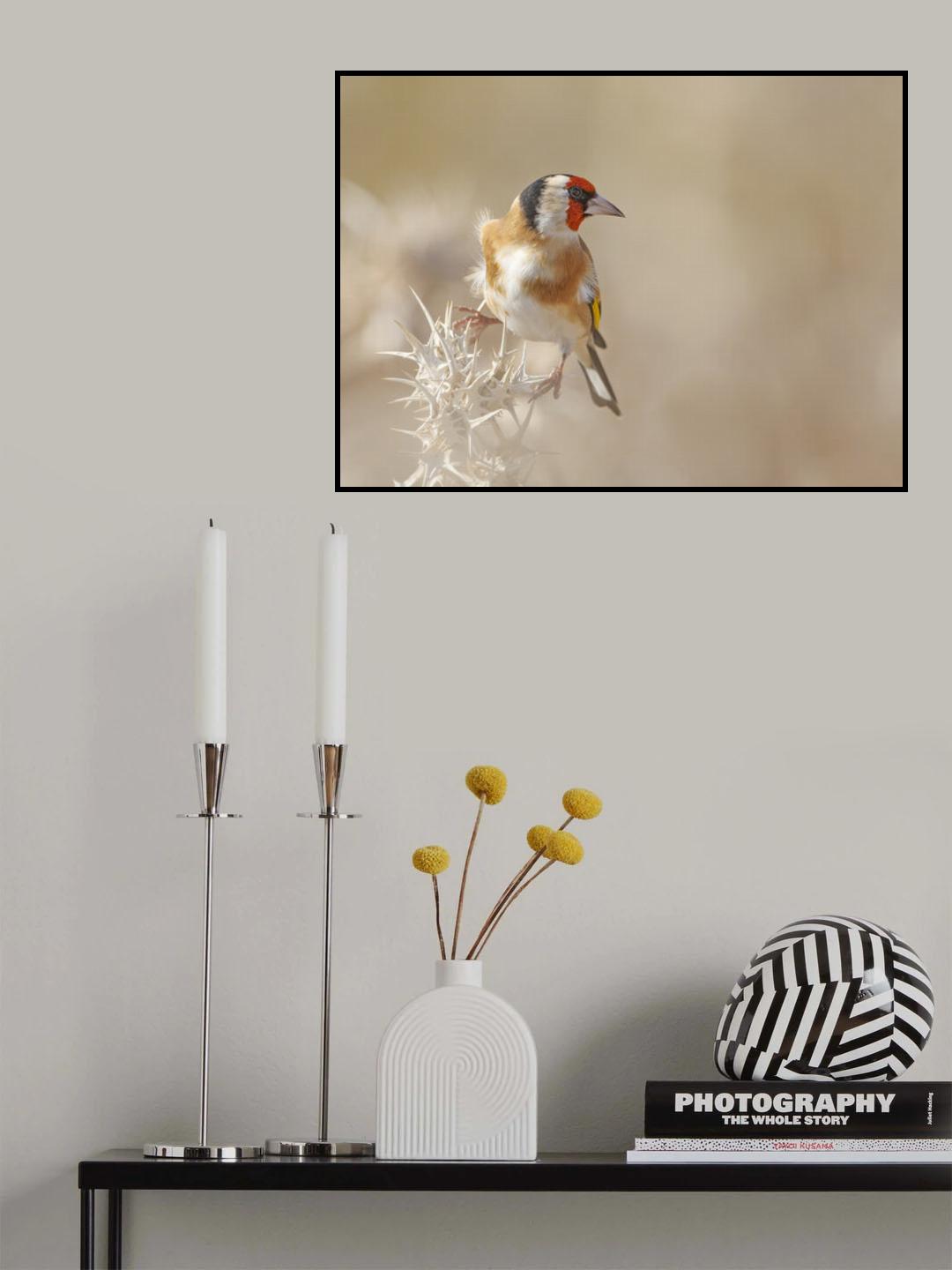 Goldfinch - Profile Poster och Canvastavla