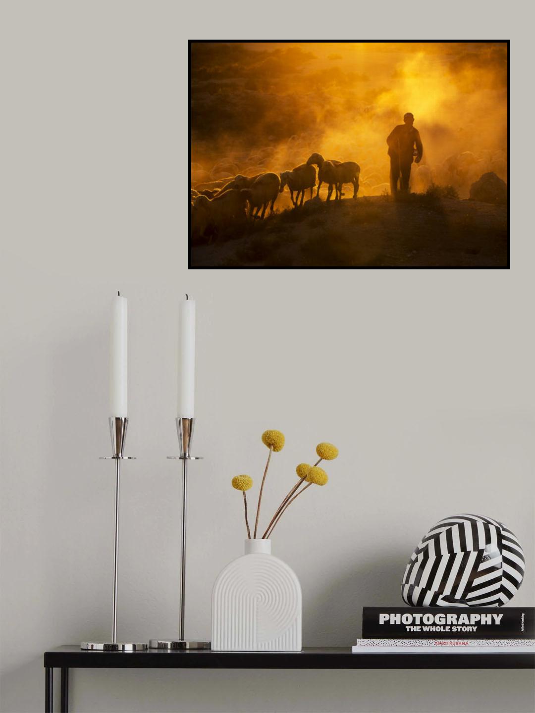 sheep flock Poster och Canvastavla