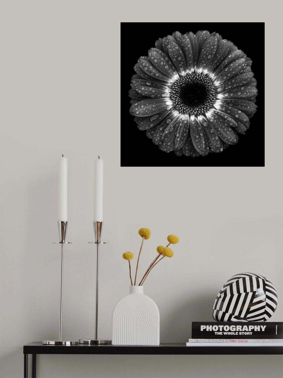 Floral Drops Poster och Canvastavla