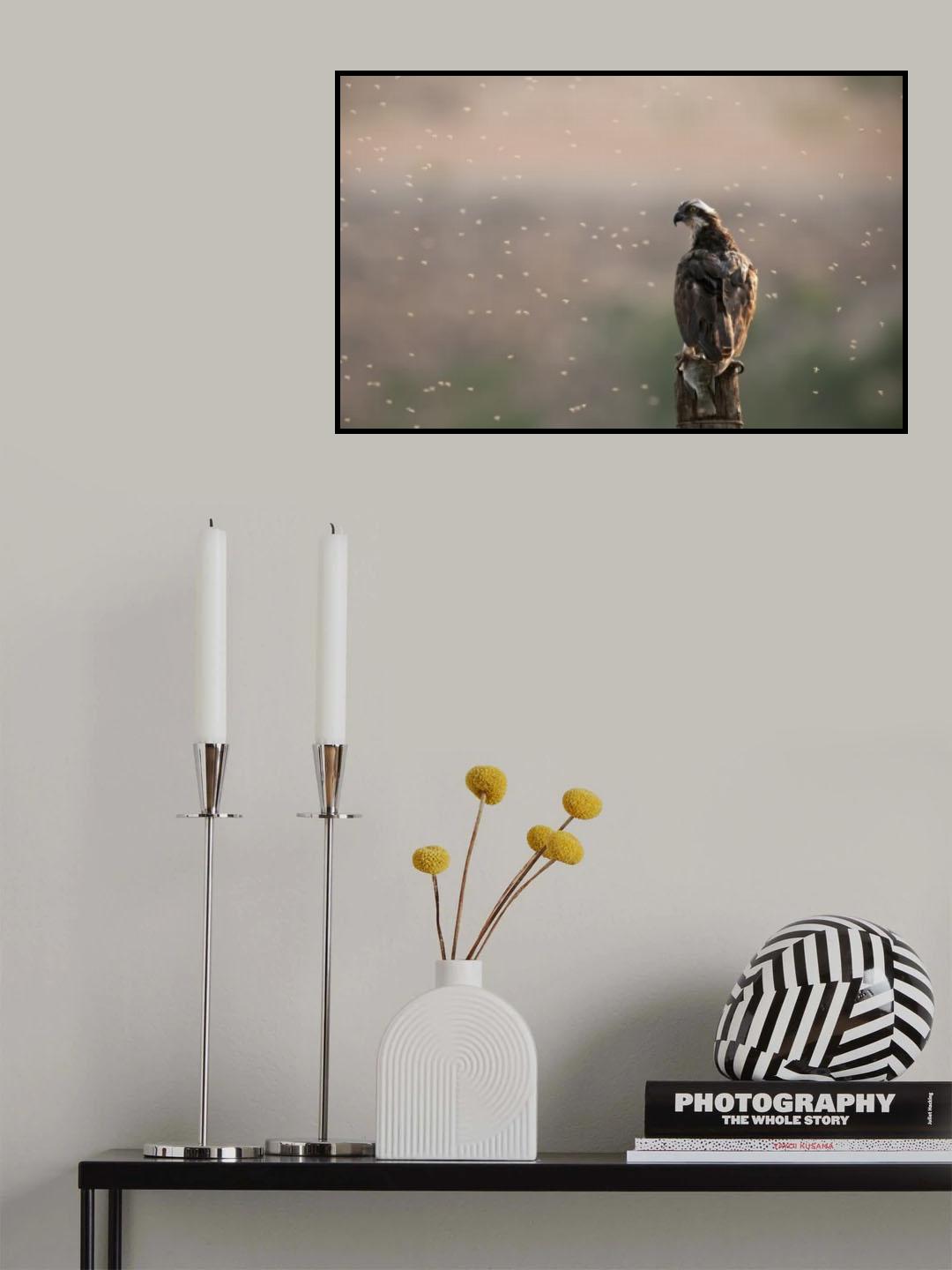 Back light Poster och Canvastavla
