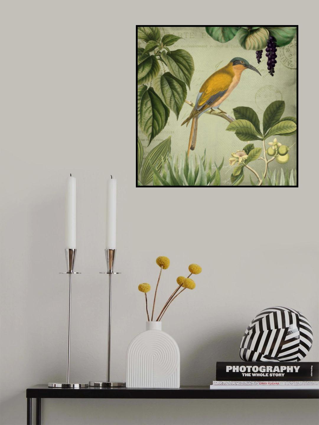 Vintage Birds 2 Poster och Canvastavla
