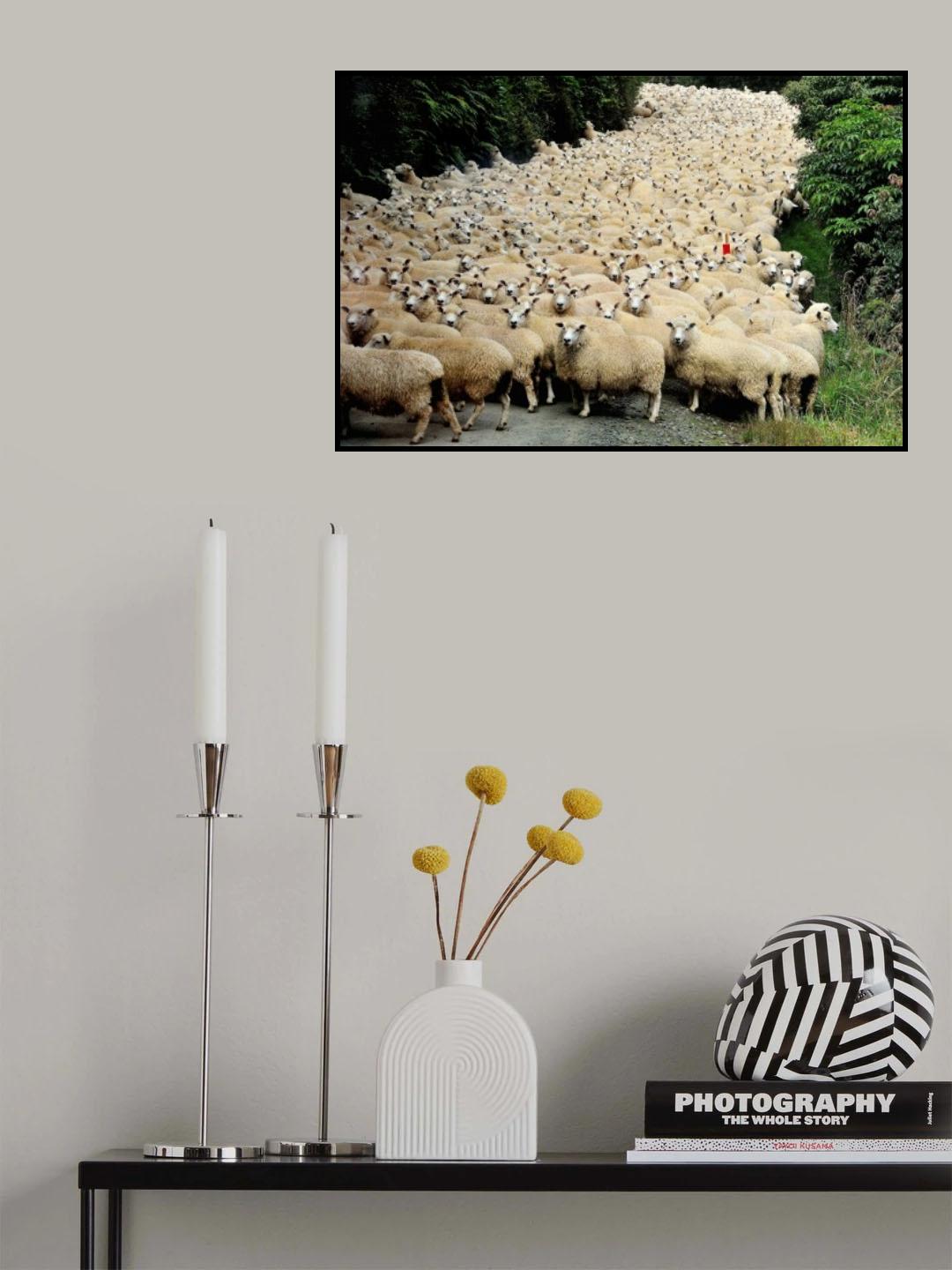 New Zealand traffic jam Poster och Canvastavla
