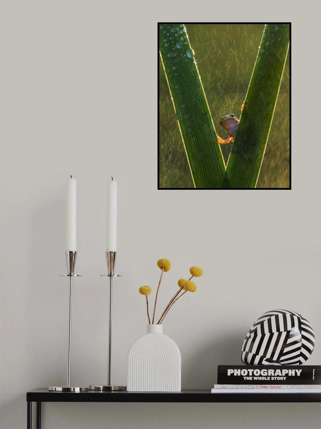 singin' in the rain Poster och Canvastavla