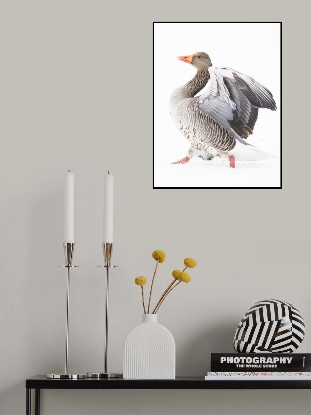 CATWALK Poster och Canvastavla