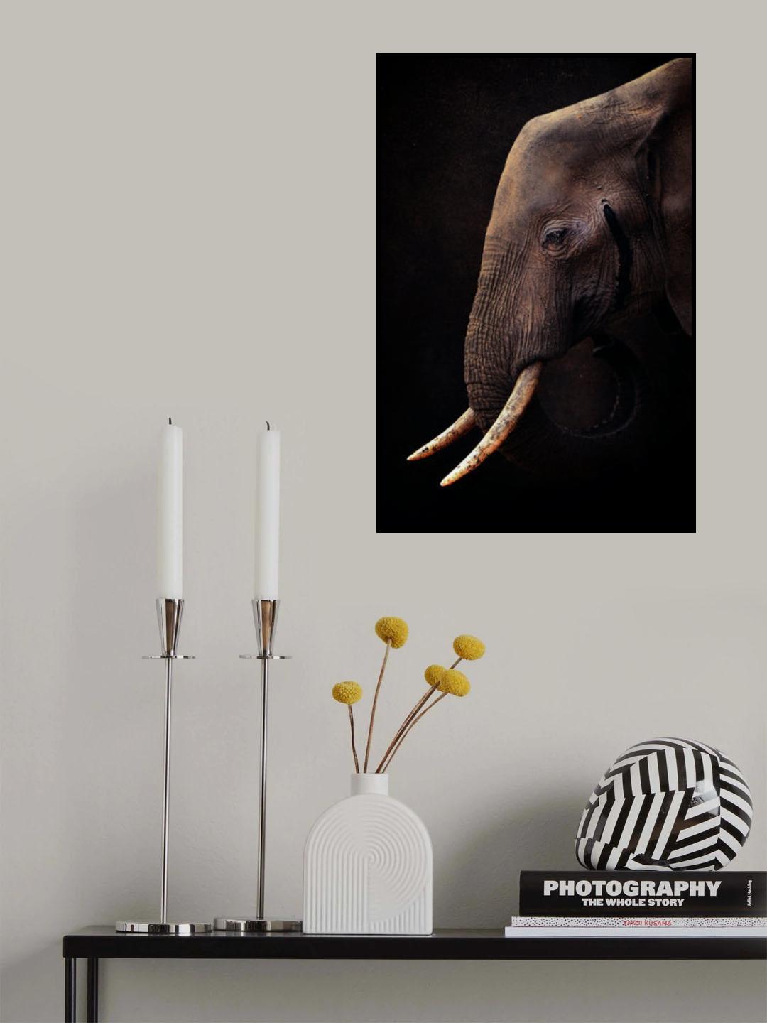 Poster och Canvastavla