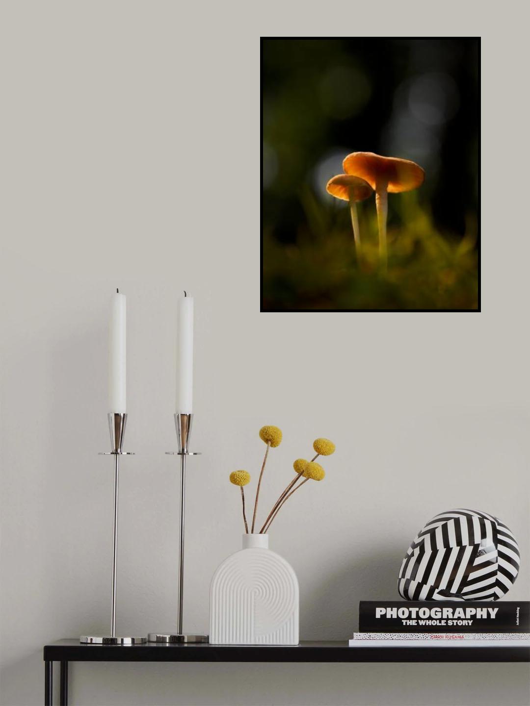 Glowing Mushrooms Poster och Canvastavla
