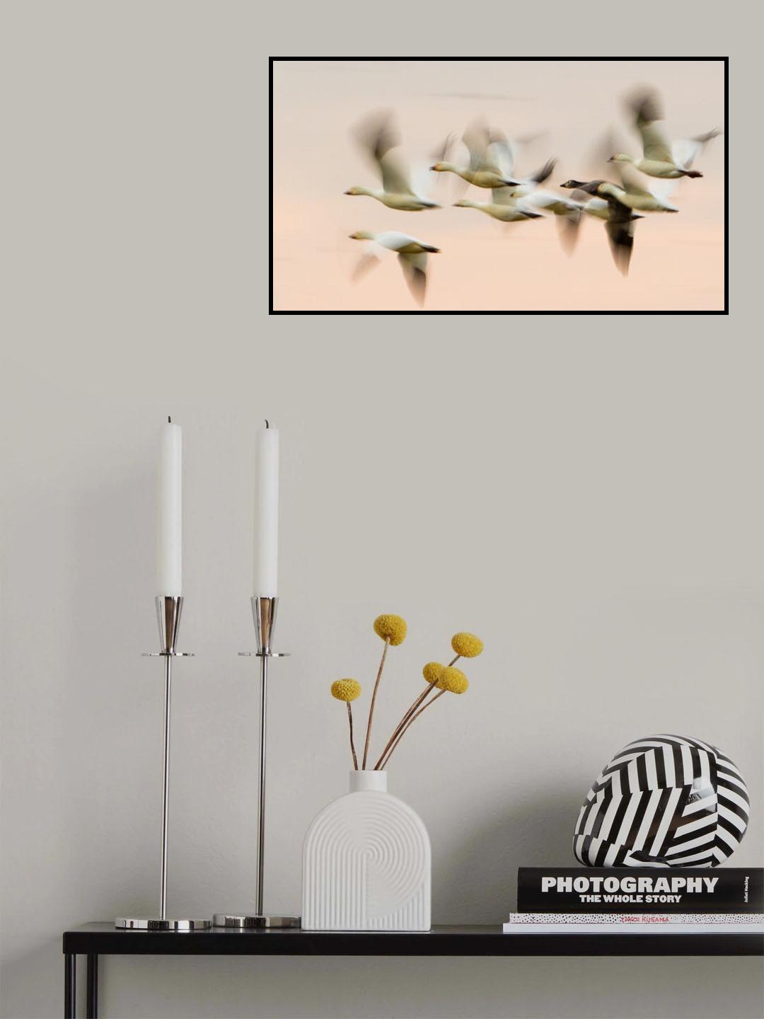 Going Home Poster och Canvastavla