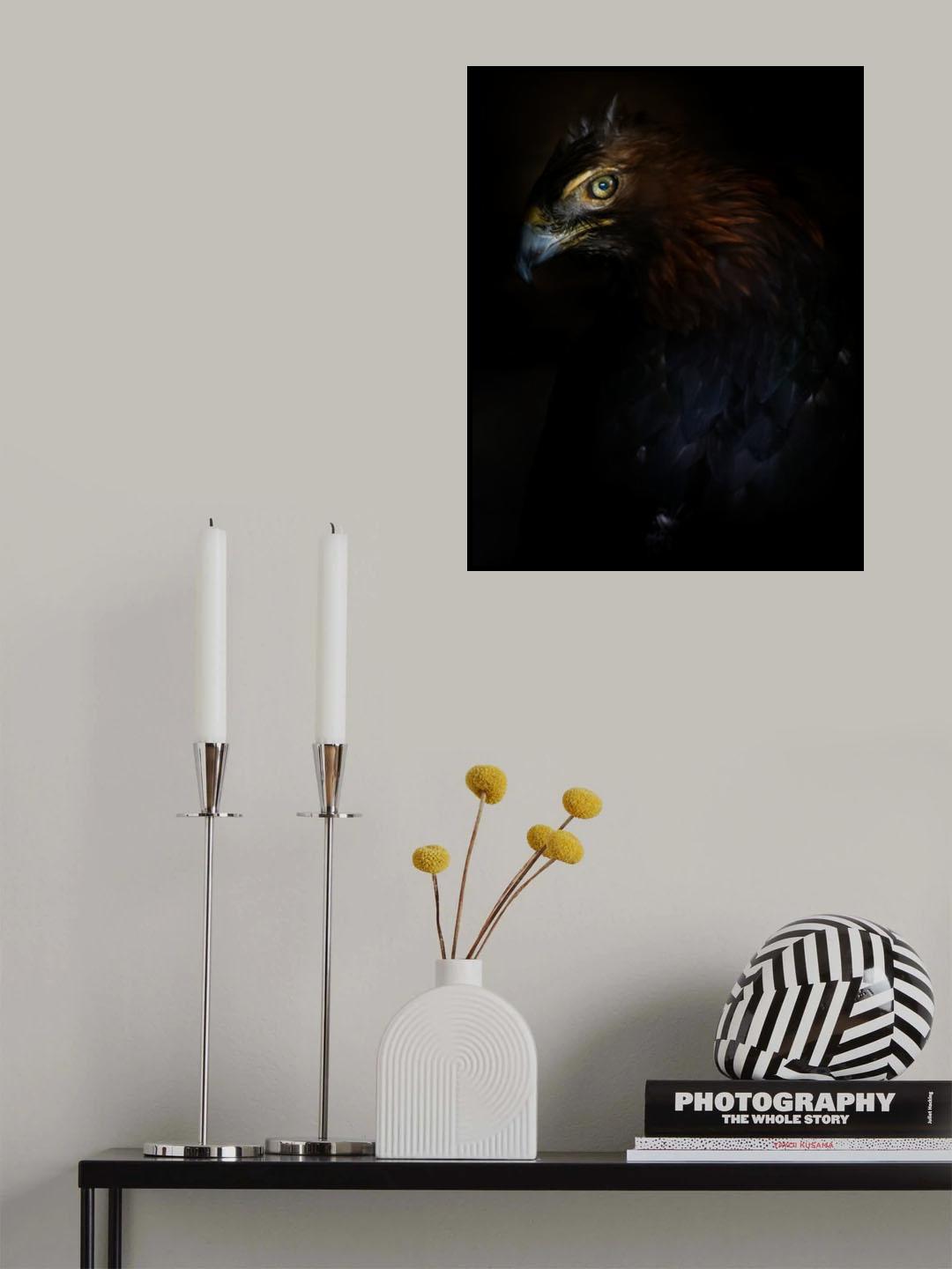 Eagle portrait Poster och Canvastavla