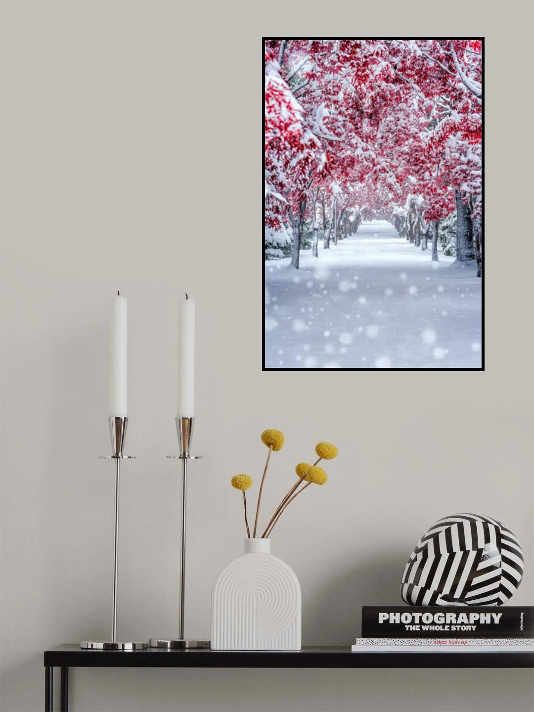 スノーメープル Poster och Canvastavla