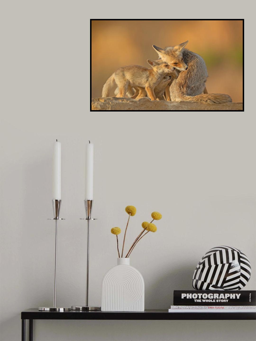 Foxes, Motherhood. Poster och Canvastavla