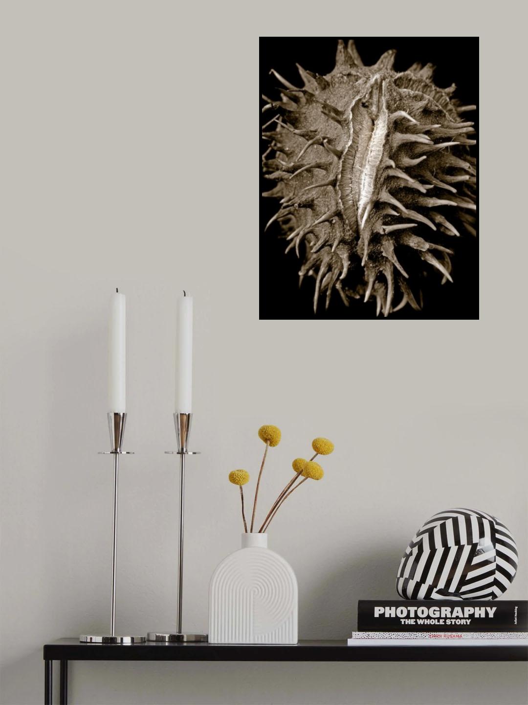 Chestnut Poster och Canvastavla