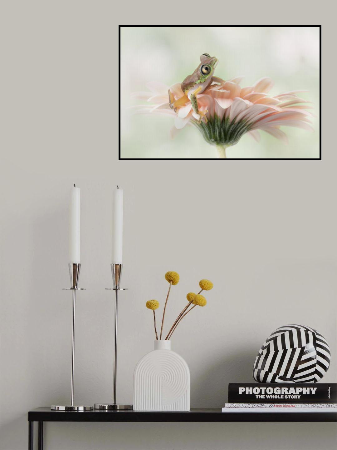 Lemur Frog on a Gerbera Flower Poster och Canvastavla