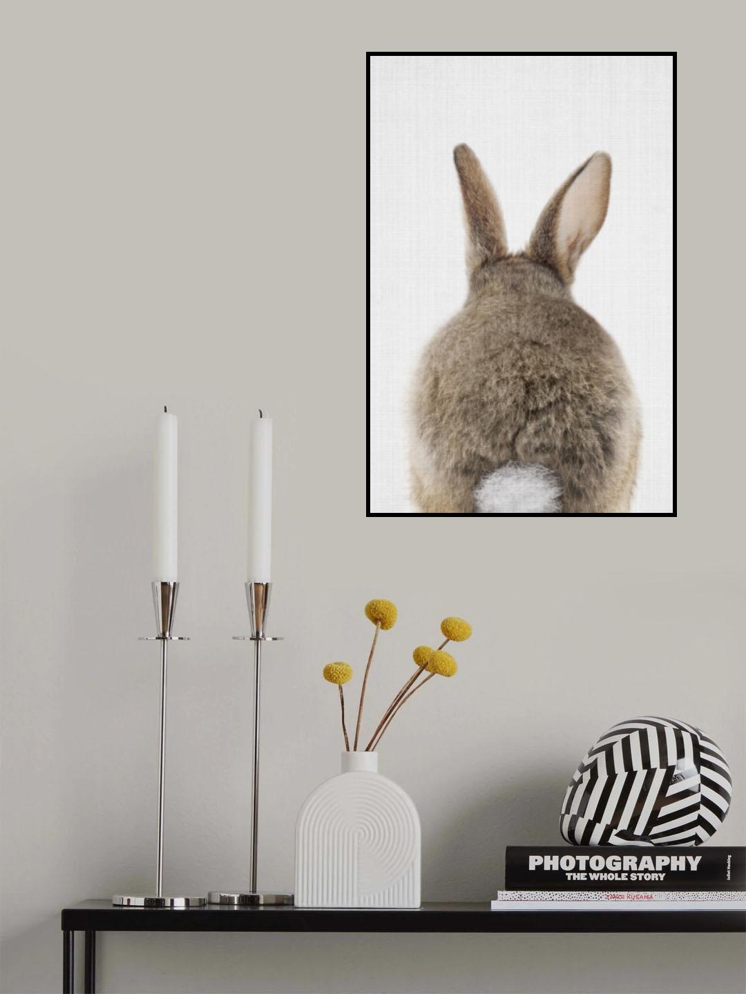 Peekaboo Bunny Tail Poster och Canvastavla