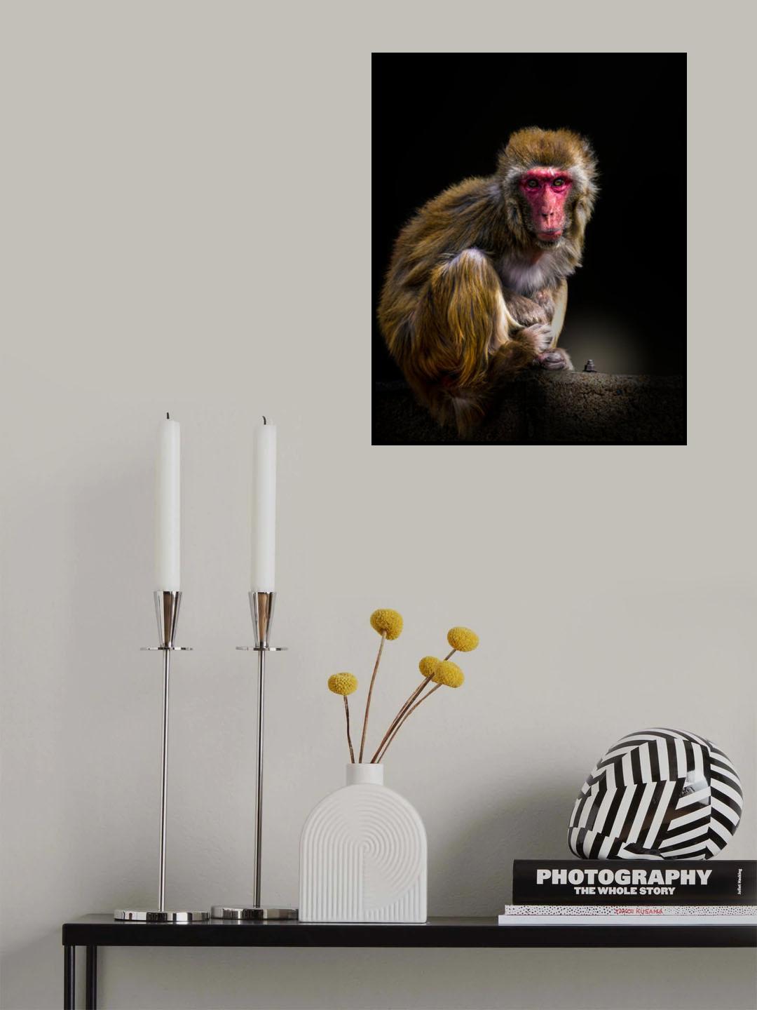 Reset button? Poster och Canvastavla