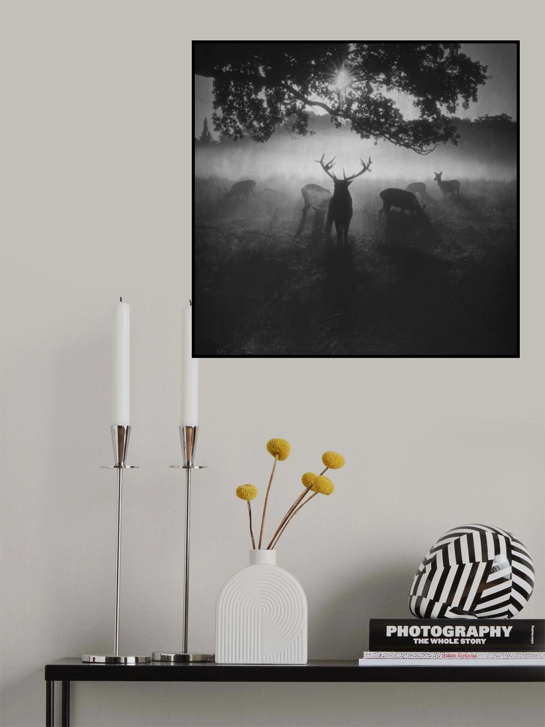 Robin Hood Woods Poster och Canvastavla