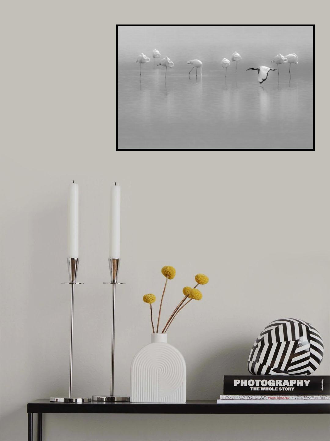 Shades of gray Poster och Canvastavla