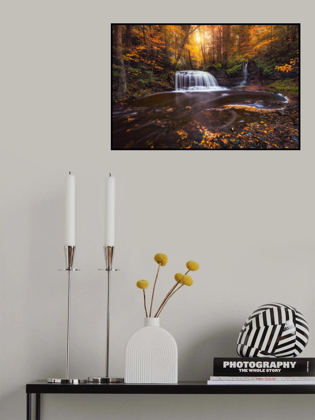 Secret Falls Poster och Canvastavla