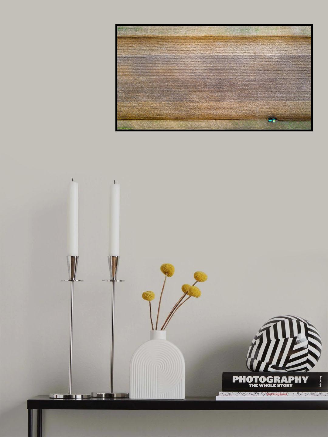 The Carpet Poster och Canvastavla