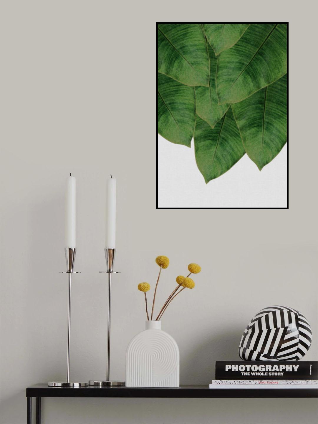 Banana Leaf III Poster och Canvastavla