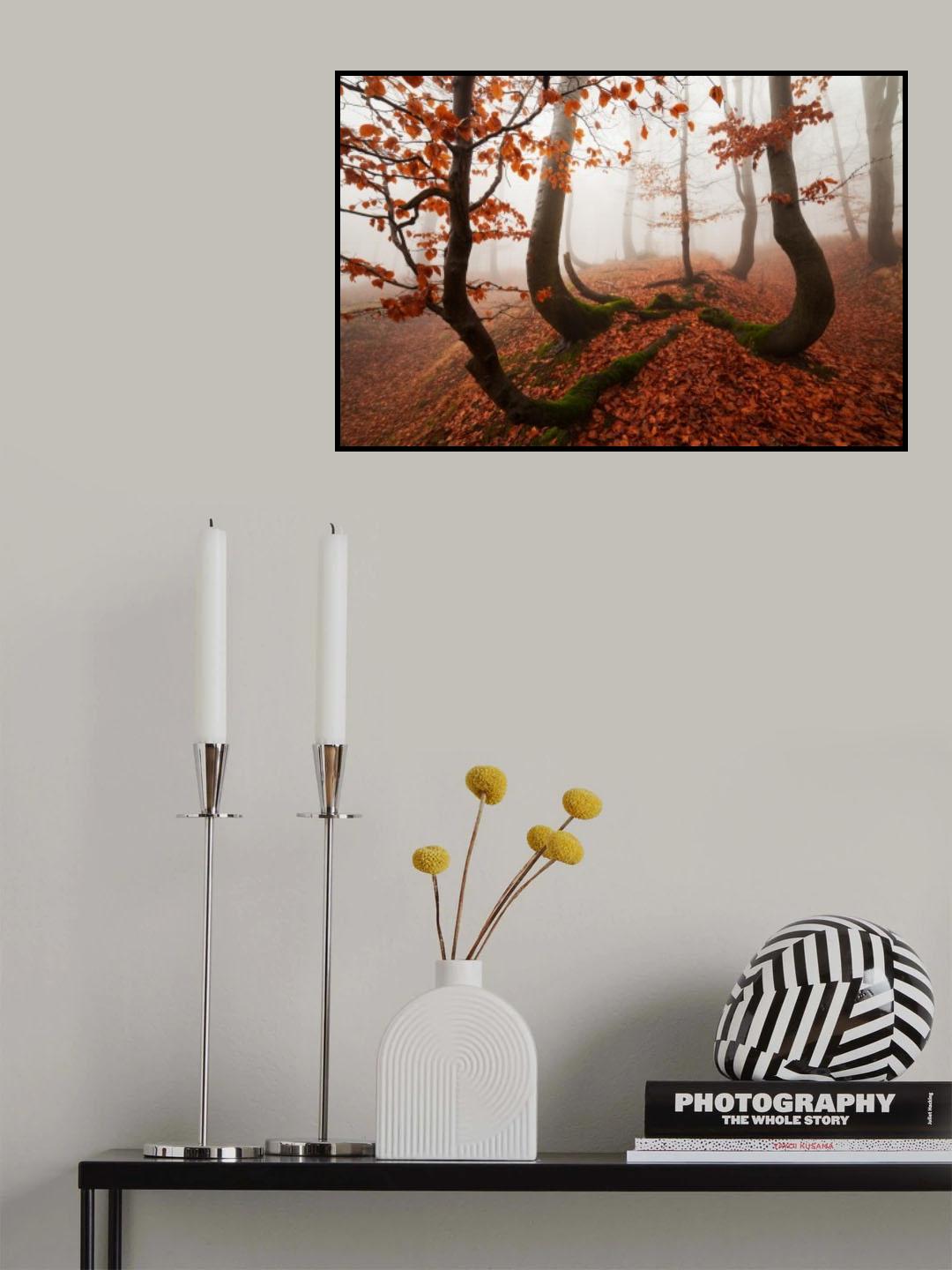 Fairytale Forest Poster och Canvastavla