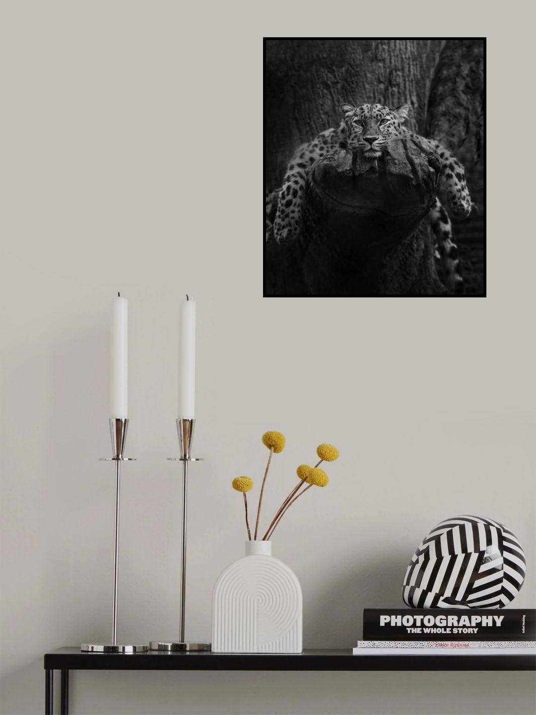 Engendered Beauty Poster och Canvastavla