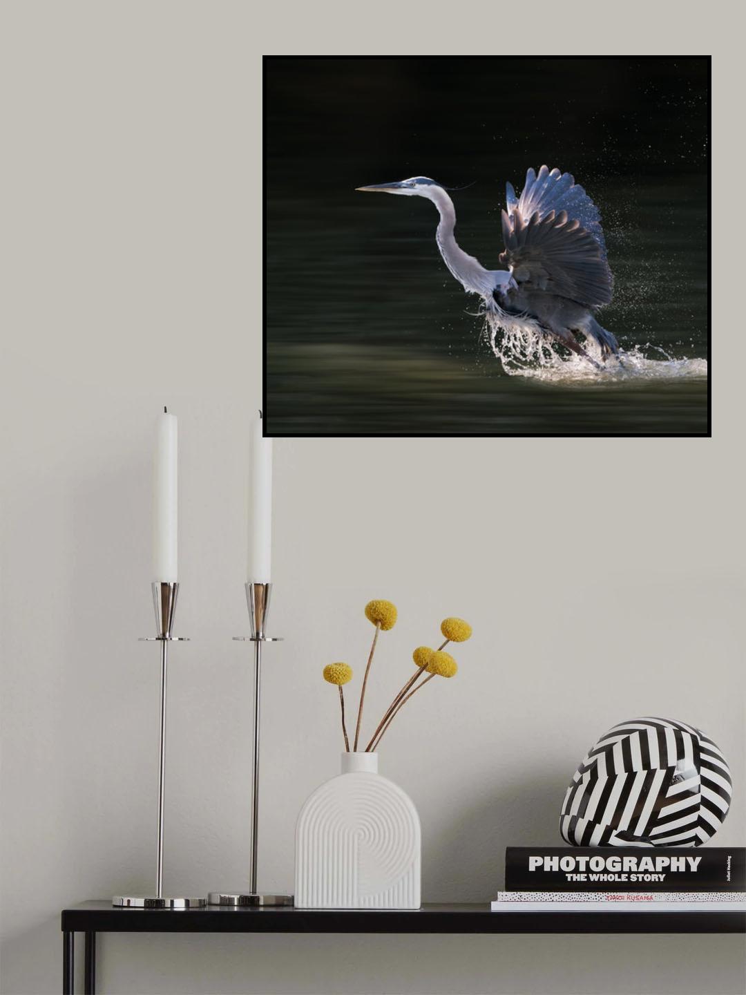 Taking Off Poster och Canvastavla