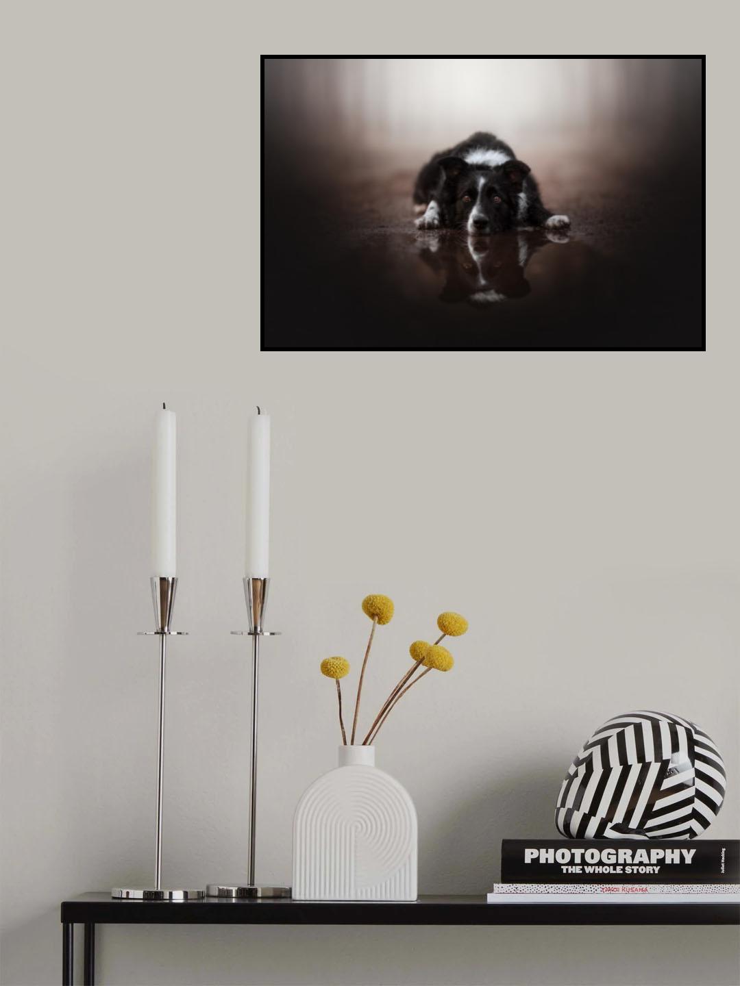 Double Vision Poster och Canvastavla
