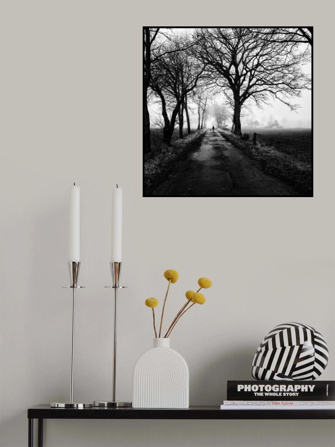 Lonely way back home Poster och Canvastavla