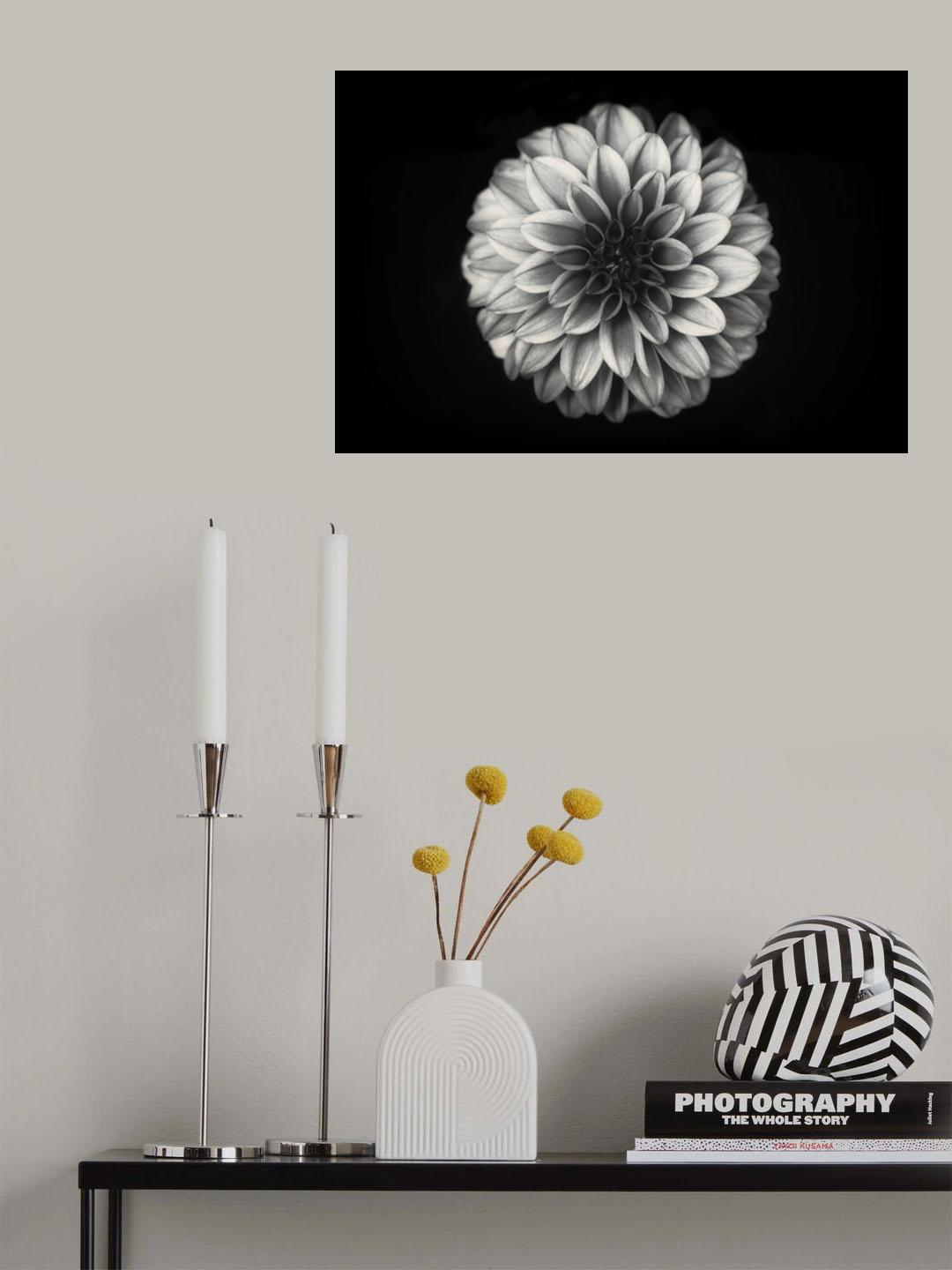 Dahlia Poster och Canvastavla