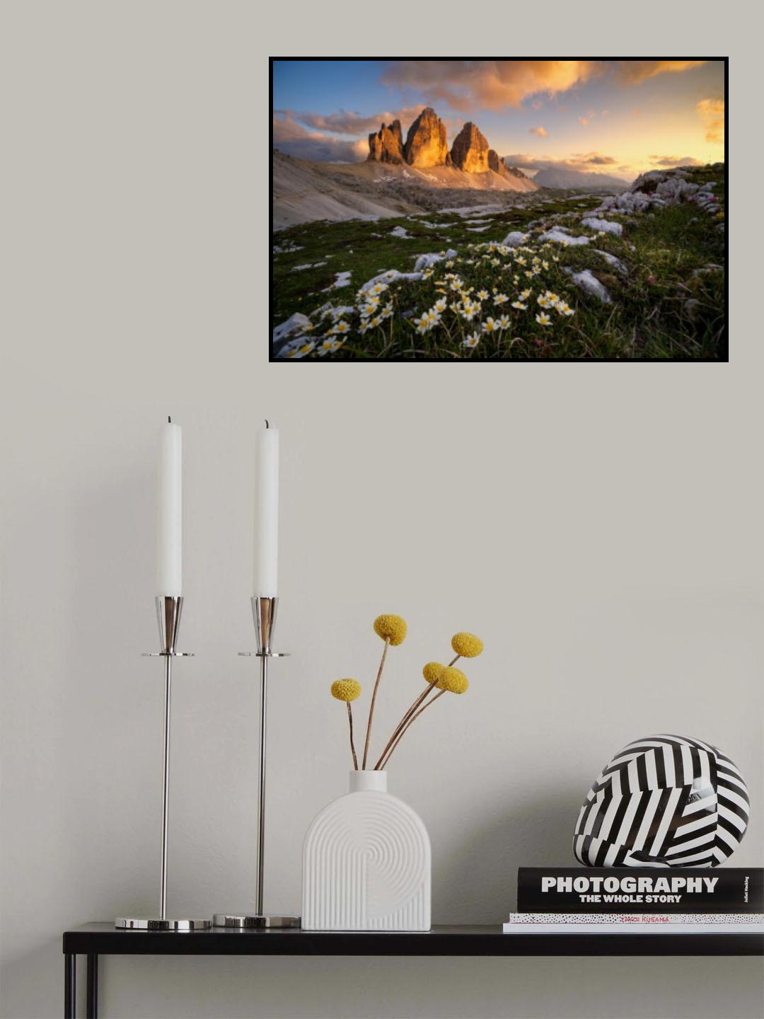 Bloomy Tre Cime Poster och Canvastavla