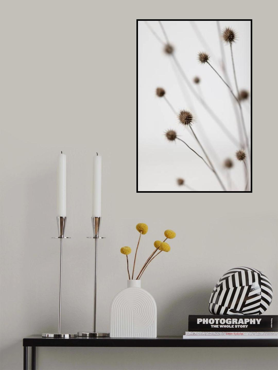 Thistle Grey 06 Poster och Canvastavla