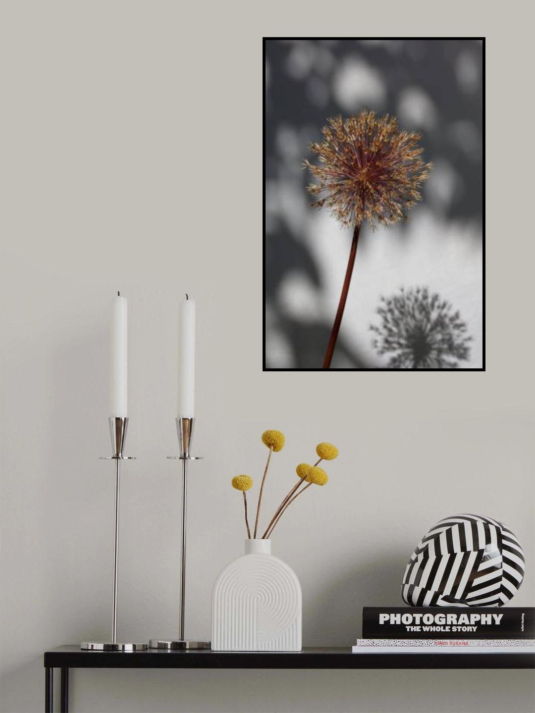 Withered flower, seed house_1 Poster och Canvastavla
