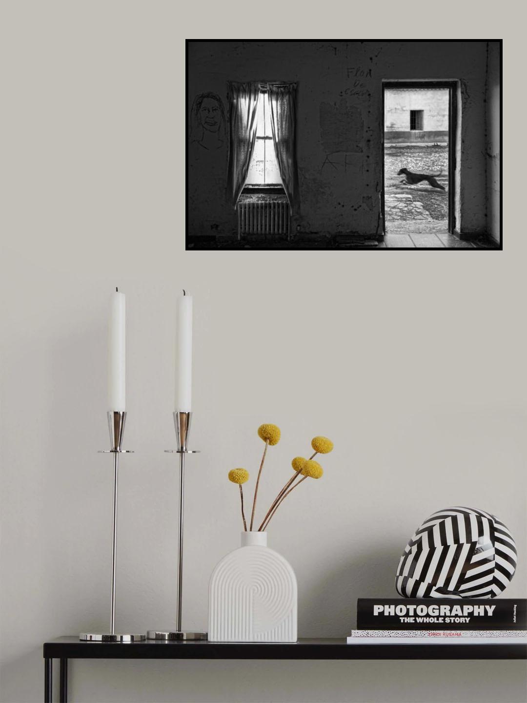 The last days of the town Poster och Canvastavla