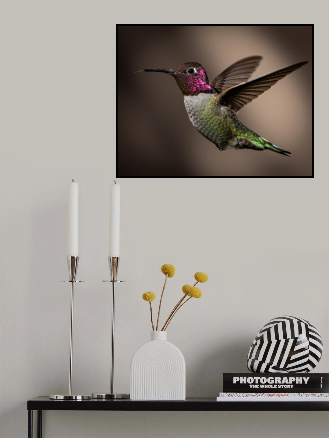 Flying jewels Poster och Canvastavla
