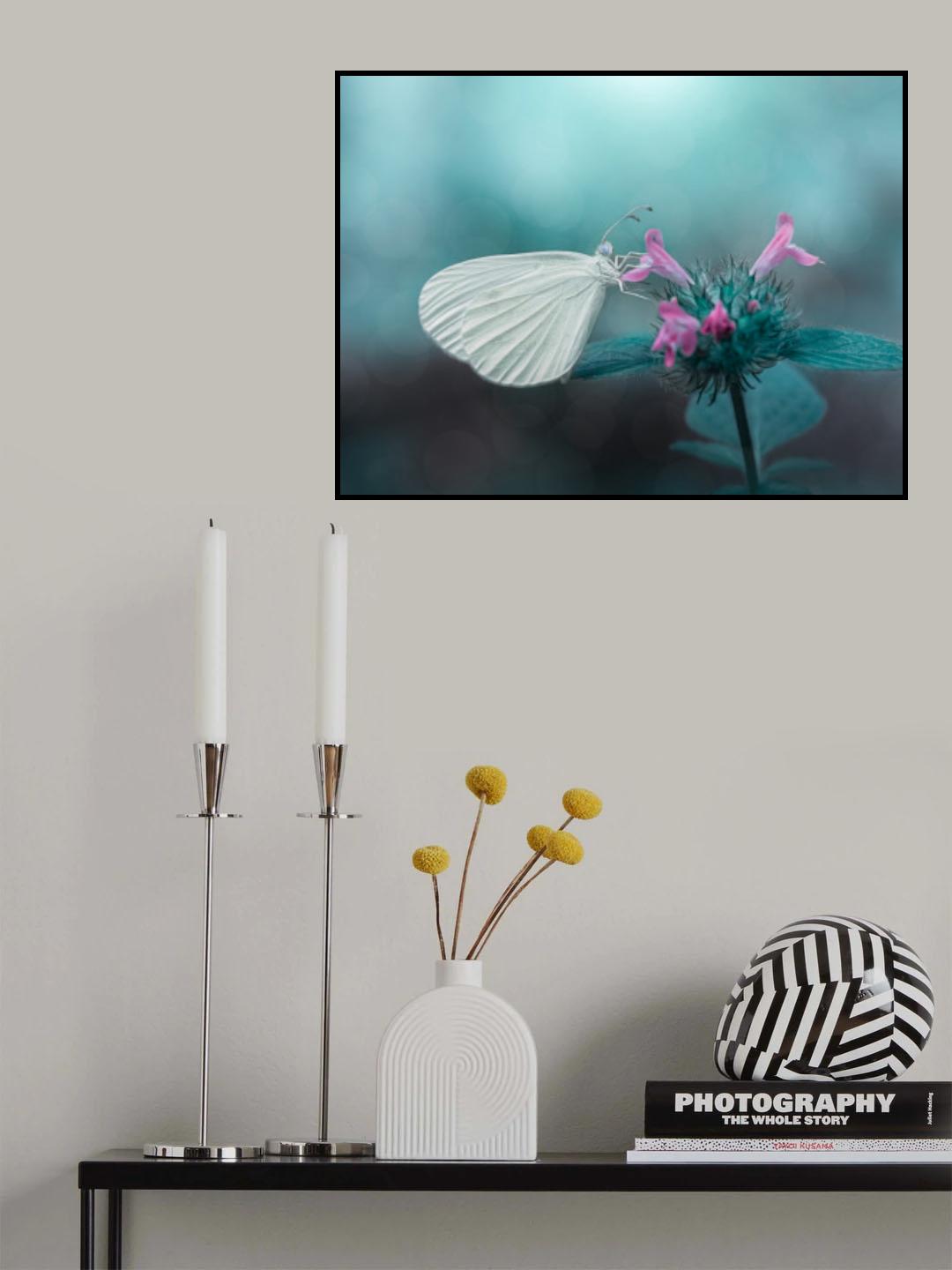 Lady in white Poster och Canvastavla