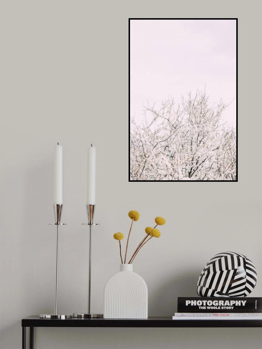 Cherry tree_2 Poster och Canvastavla