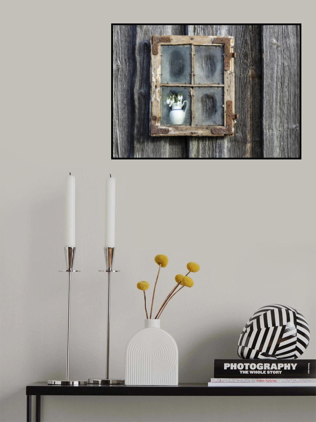 Spring flowers in the window Poster och Canvastavla