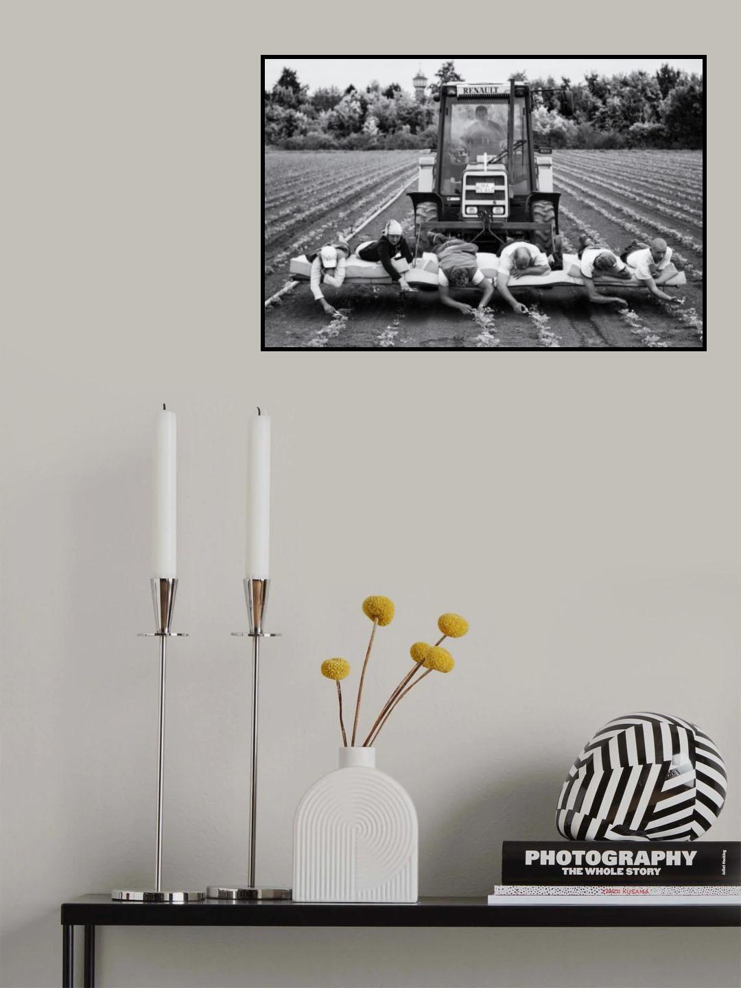 Strawberries Poster och Canvastavla