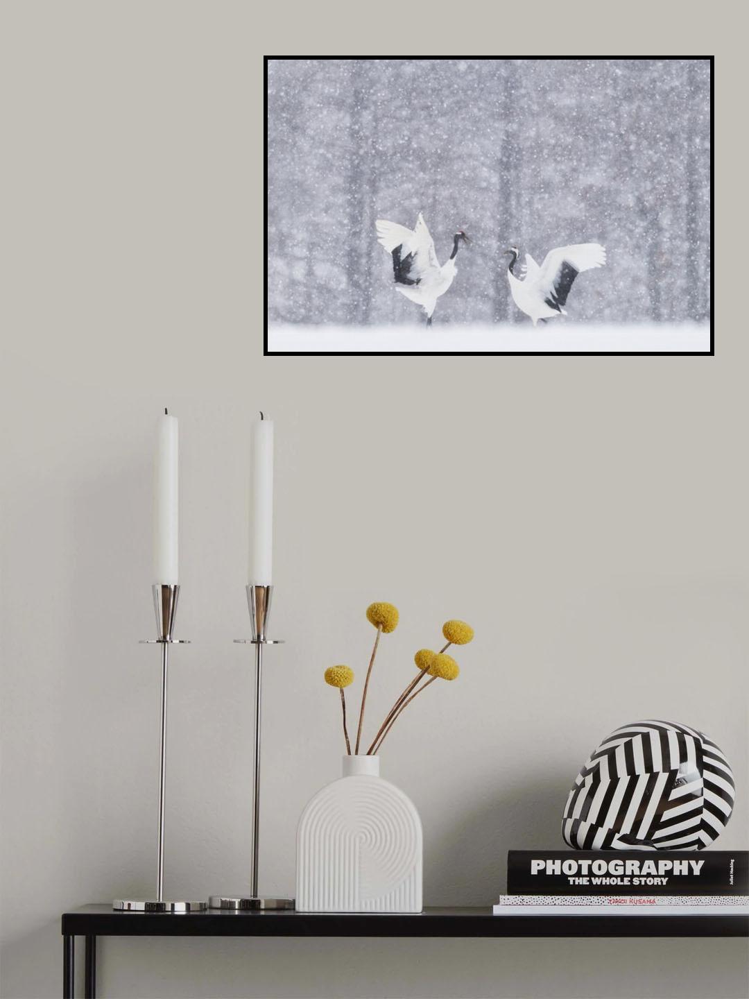 japanese Cranes Poster och Canvastavla