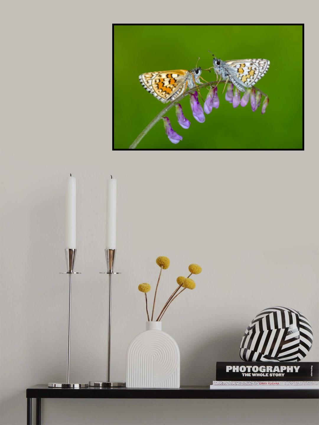 LOVE Poster och Canvastavla