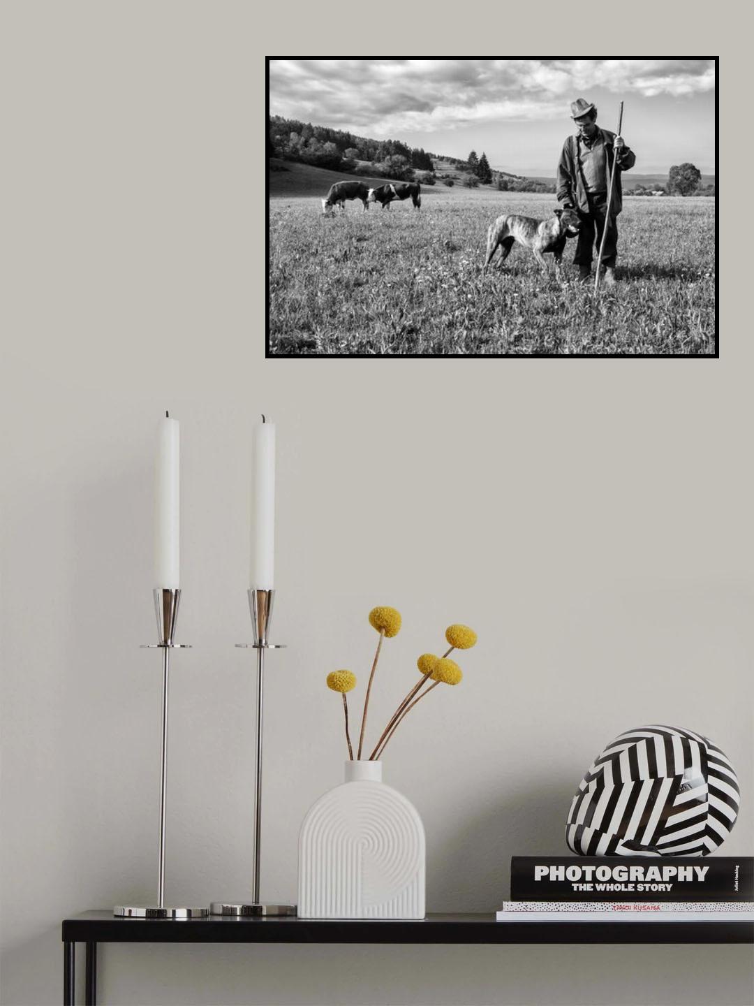 Cows keepers Poster och Canvastavla