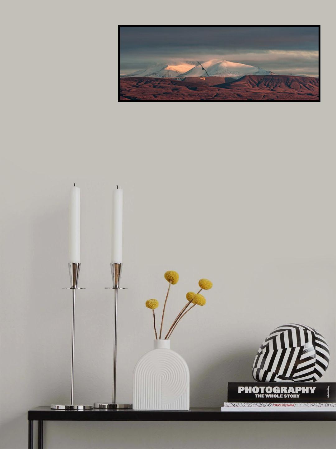 Flying home Poster och Canvastavla