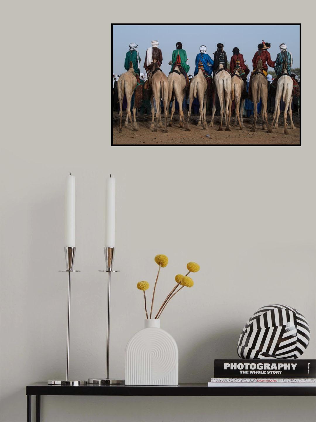 Watching the gerewol festival from the camels - Niger Poster och Canvastavla