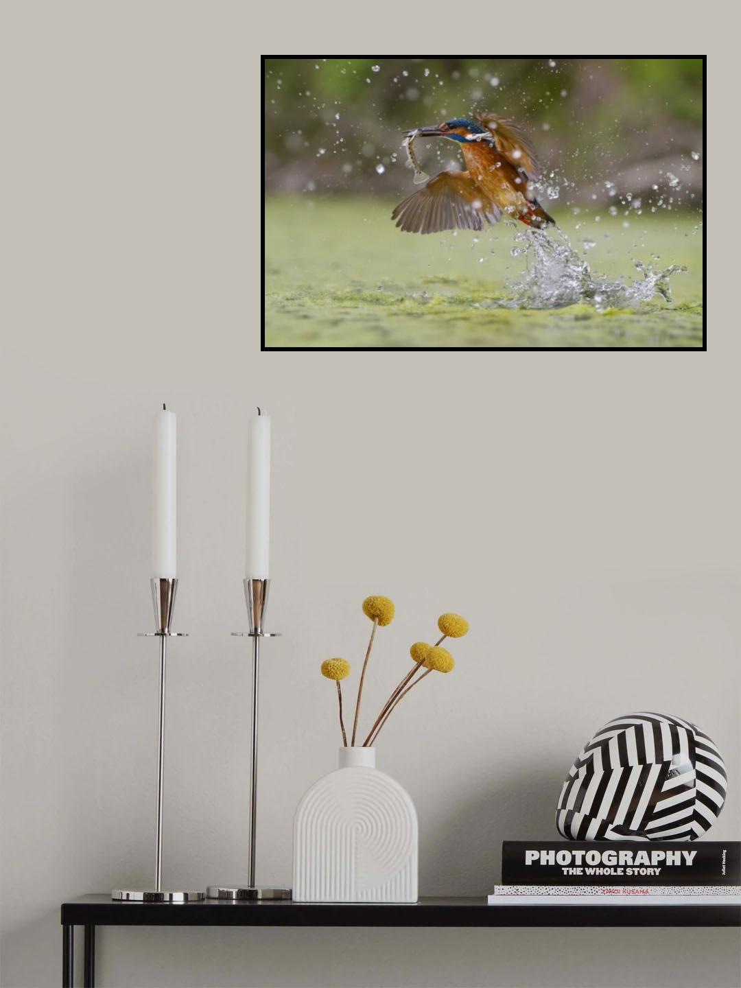 Green Fishing Poster och Canvastavla
