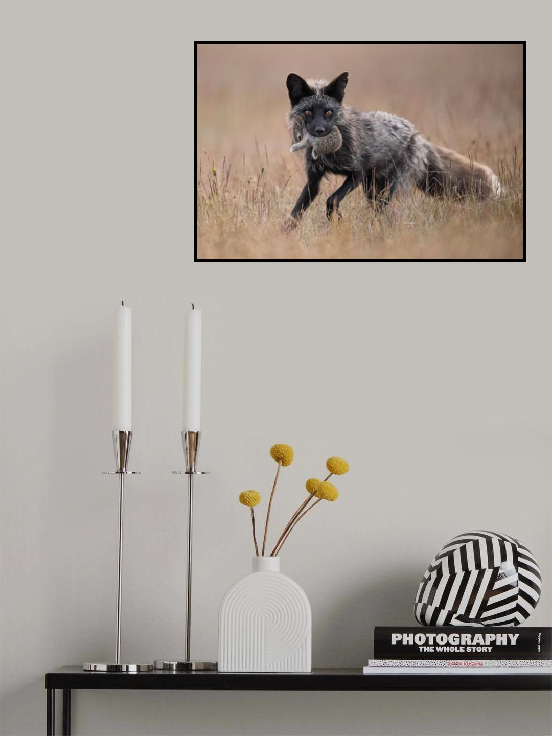 Poor rabbit! Poster och Canvastavla