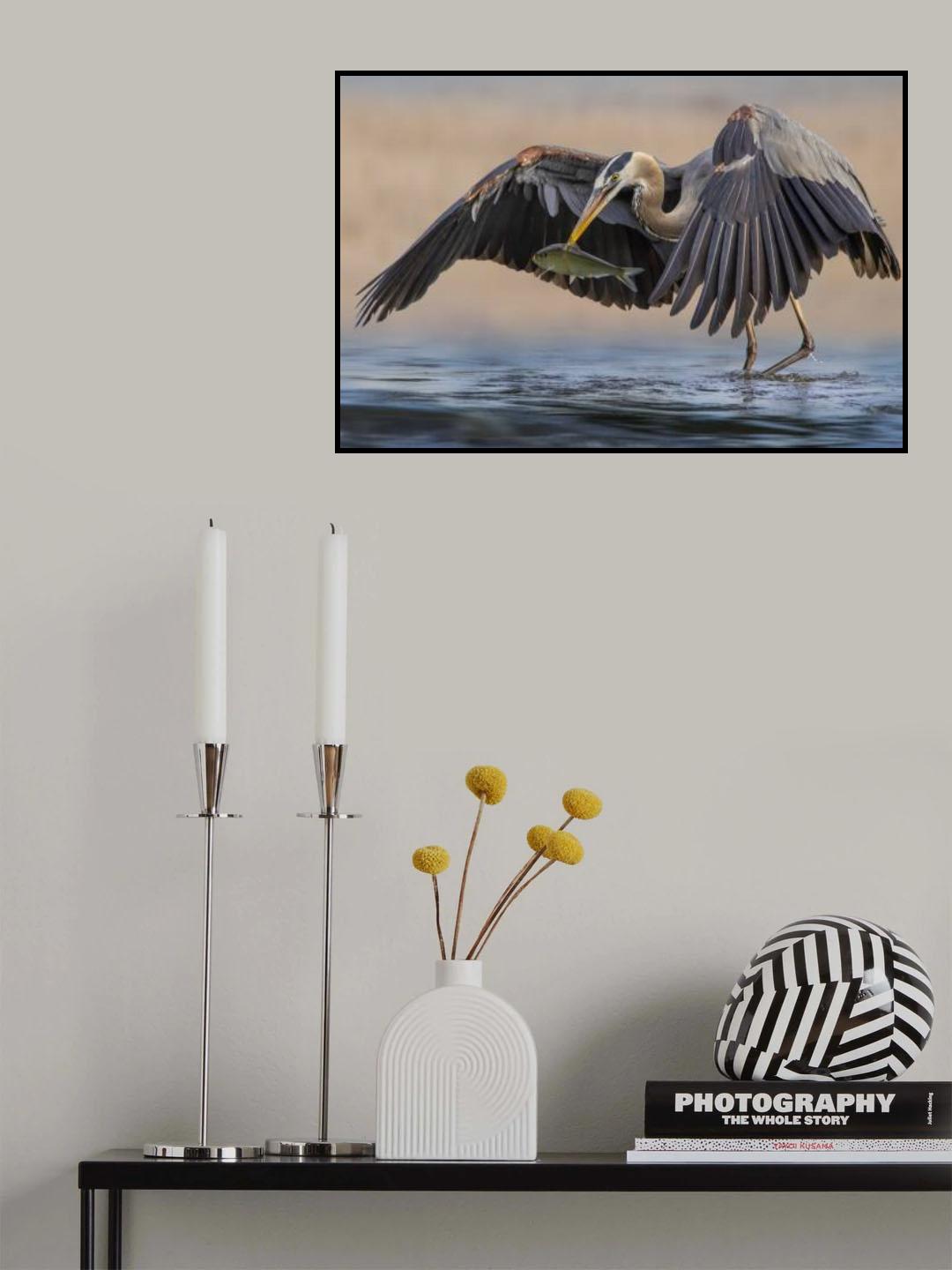 Heron Poster och Canvastavla