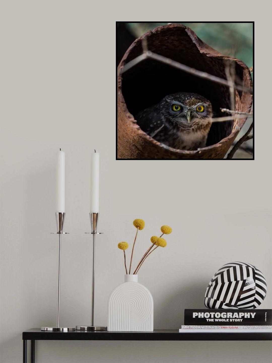 Look who is hiding here Poster och Canvastavla