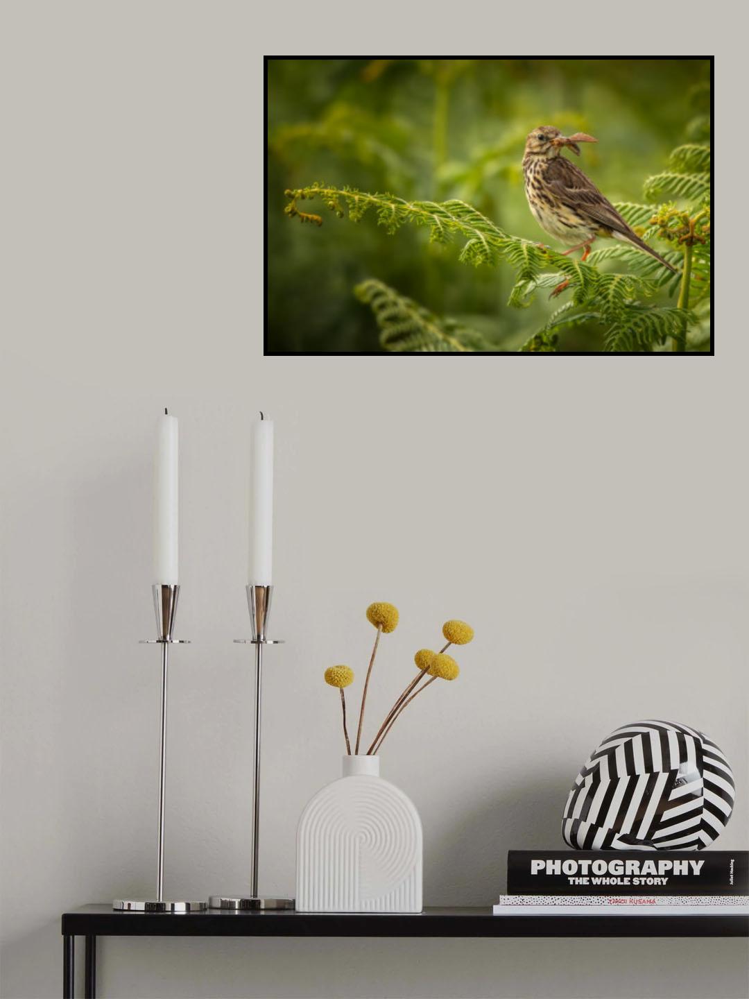 Meadow Pipit with Moth Poster och Canvastavla
