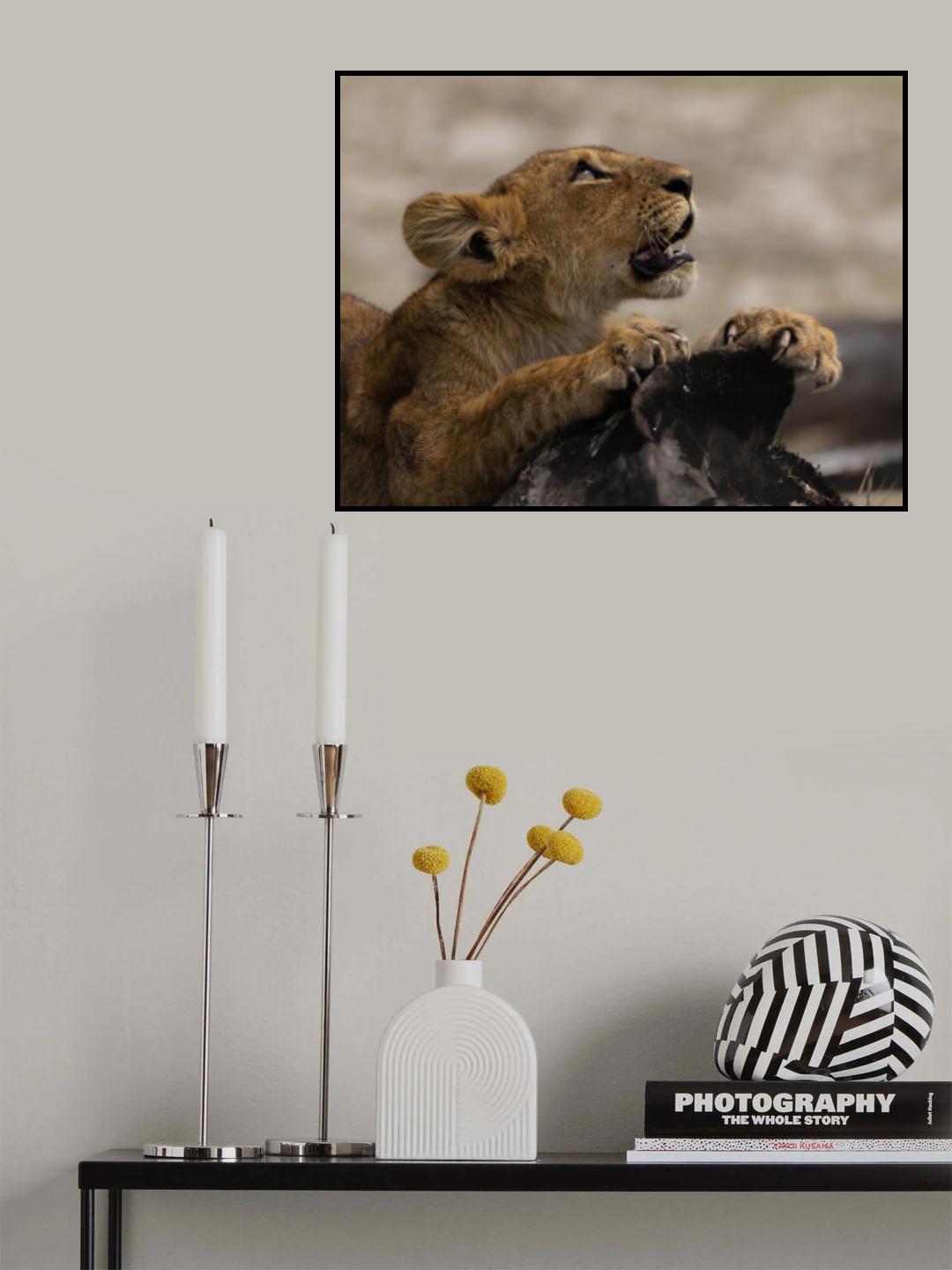 One day I'll be king Poster och Canvastavla